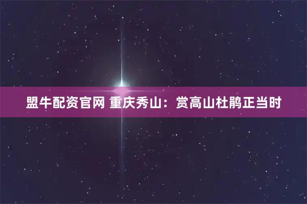 盟牛配资官网 重庆秀山：赏高山杜鹃正当时