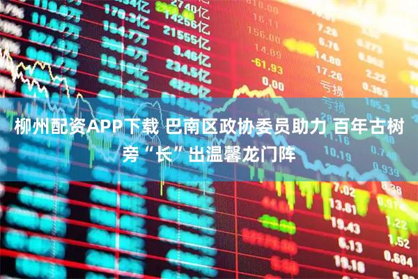 柳州配资APP下载 巴南区政协委员助力 百年古树旁“长”出温馨龙门阵